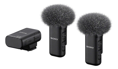 Sony Micrófono Inalámbrico De Doble Canal Ecm-w3