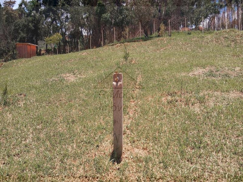 Imagem 3 de 16 de Área Jundiaizinho (terra Preta) Mairiporã/sp - 1309