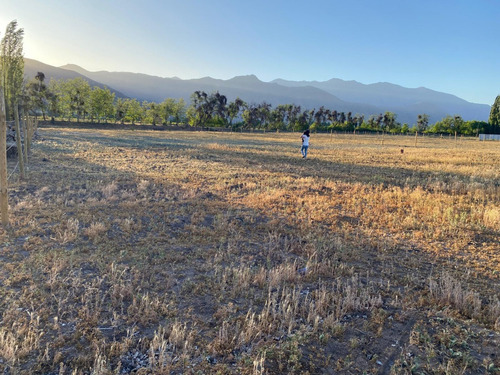 Terreno 5000 M2 Con Derechos De Agua Y Servicios Básicos.