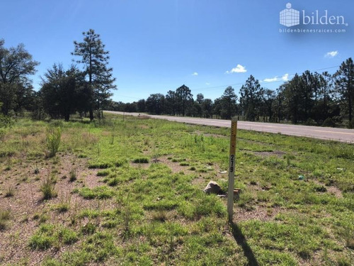 Imagen 7 de 11 de Terreno En Venta El Soldado, Dgo