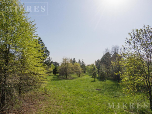 Imagen 6 de 10 de Lote En Venta Mermoz Al 2200 Las Chacras Ing. Maschwitz