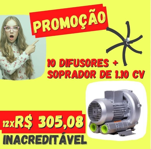 Soprador Compressor 1.10 Cv + 10 Difusores Estrela 