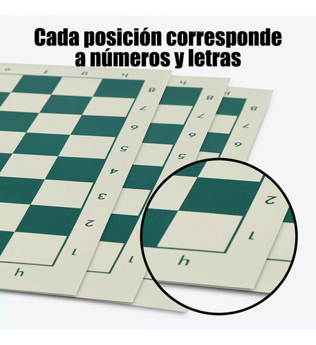 Ajedrez Profesional: Piezas Blancas Y Negras En Cubos .