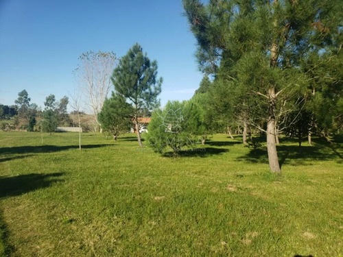 Chacra De 3 Has Con 5657 M2 En Camino Benito Nardone
