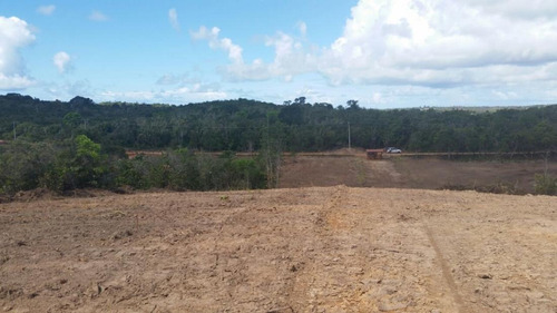 Imagem 11 de 15 de Sítio / Chácara Para Venda Em Camaçari, Barra Do Pojuca - 508_1-1292134