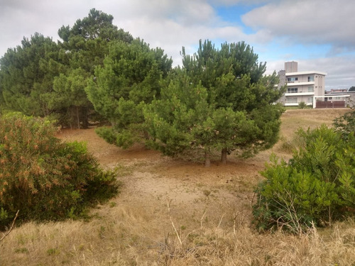 Imagen 9 de 15 de Terreno En Venta En Las Gaviotas