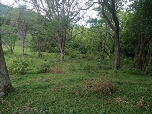 Vendo Lotes En La Pintada Con Vista A Farallones Desde 2.703 M²