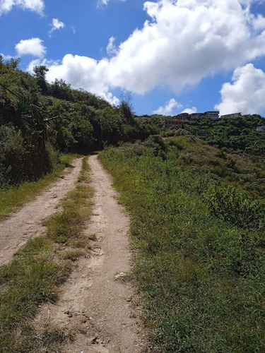 Imagen 10 de 13 de Terreno En Venta 13.5 Hectareas En Las Guamas Los Teques