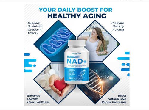 Nurafuse Liposomal Nad+ 6000mg Cap 150 Capsula