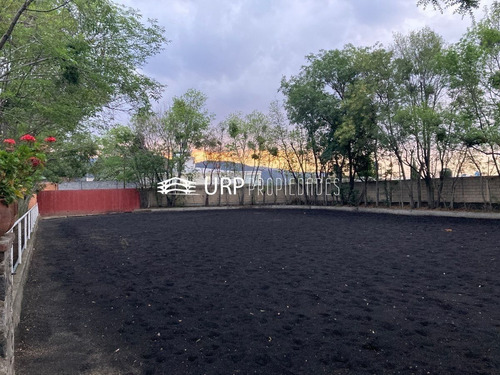 Hermoso Hípico San Luis Con 2 Casas