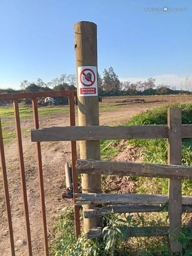 Terreno En Venta En Teno