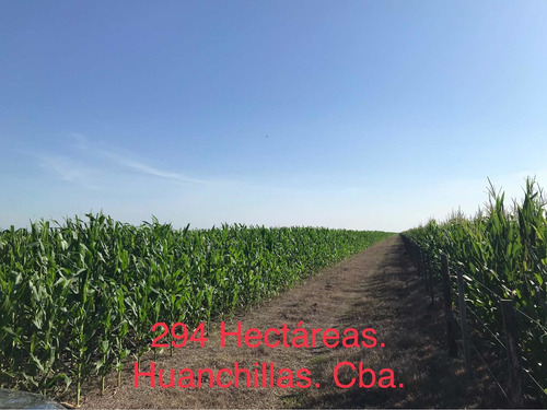 Imagen 1 de 5 de Vendo 294 Hectareas Mixtas