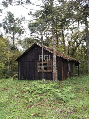 Terreno Em Primeiro Distrito - El56353457