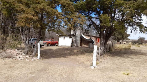 Imagen 6 de 14 de Vendo Campo 320 Hectáreas