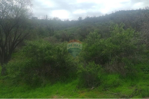 Terreno De 7,104 M2 En Oasis De La Campana