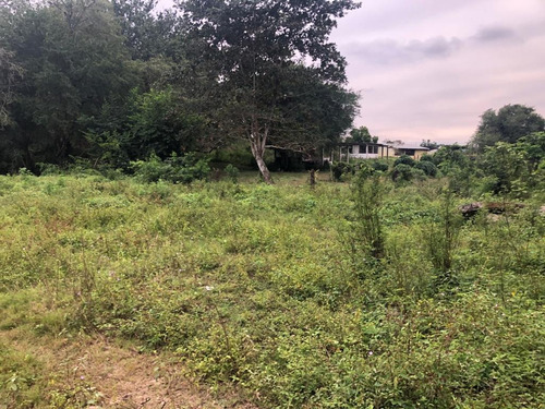 Imagen 9 de 14 de Terreno - San Juan Bautista Tuxtepec