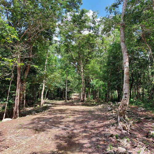 Lote Ecològico En Venta A 8 Minutos De La Estación Del Tren Maya Coba-tulum (1288)