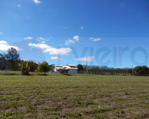 Imagem 16 de 17 de Terreno - 1623 - 32401960