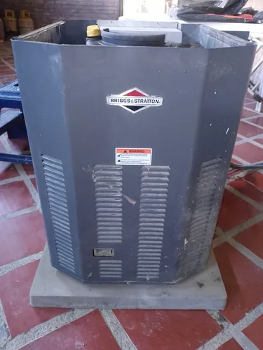 Planta Electrica B&s A Gas