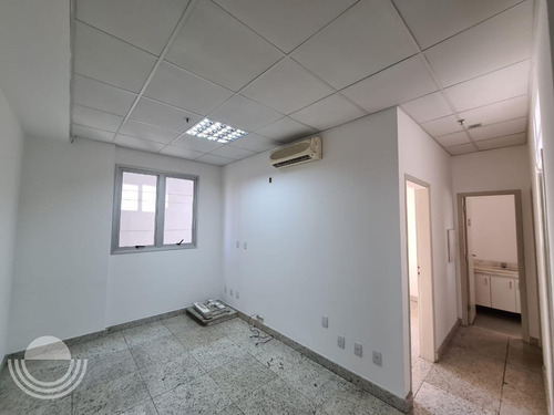 Imagem 15 de 21 de Sala Para Aluguel Em Cambuí - Sa006056