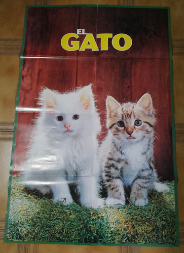 Revista El Gato Editorial Deagostini (Usado)