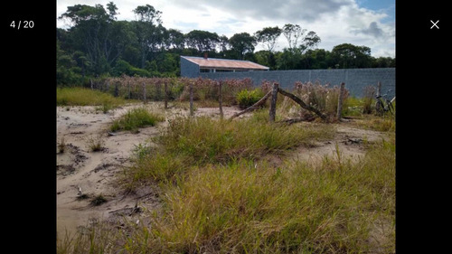 Imagem 2 de 14 de Terreno Na Praia Do Ervino. São Francisco Do Sul