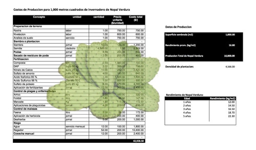 Corrida Financiera Nopal Verdura En Excel