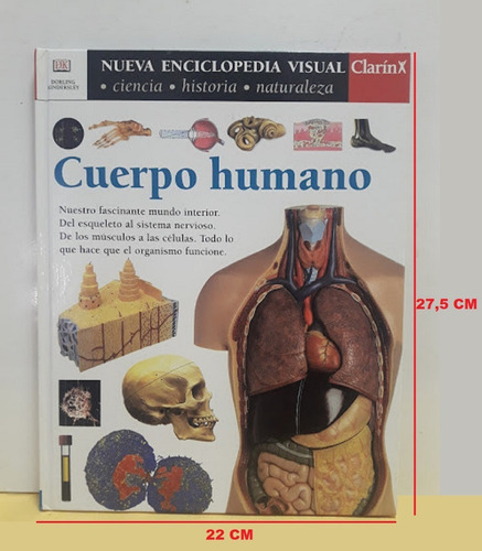 Cuerpo Humano - Tomo I - Nueva Enciclopedia Visual Clarín (Usado)