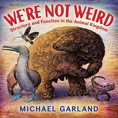 We're Not Weird: Structure and Function in the Animal Kingdom (Libro en Inglés), de Garland, Michael. Editorial Holiday House, tapa pasta dura en inglés, 2023