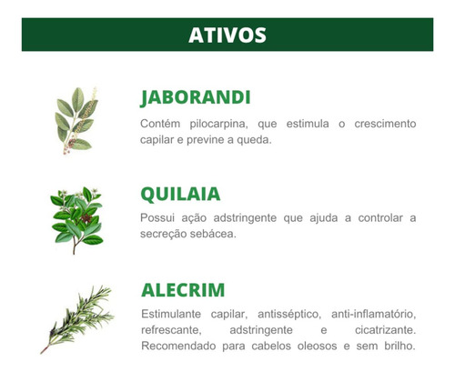 Kit Jaborandi Shampoo E Condicionador Bio Extratus 1l