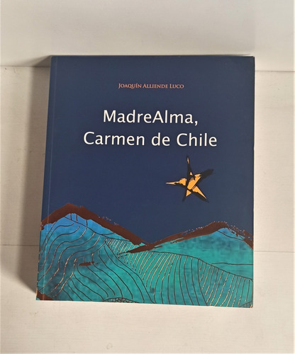 Libro Madre Alma, Virgen Del Carmen De Chile,  Alliende Luco