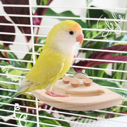 Juguete Masticable Con Forma De Perca Para Loros, Fácil De