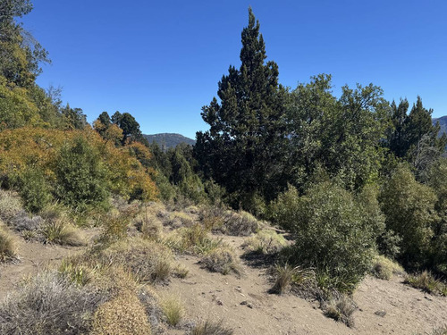Lote Venta San Martin De Los Andes. Barrio La Lonja