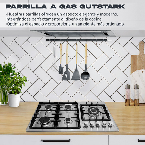 Parrilla Estufa Con Alimentación A Gas 5 Quemadores Gutstark Plata/negro