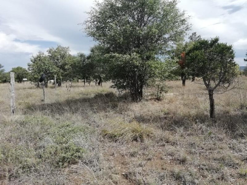 Terreno En Venta Fraccionamiento Agropecuario Sierra Linda