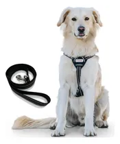 Comprar Arnés De Mochila Para Perro, Arnés Sin Tirones Con Correa Pa