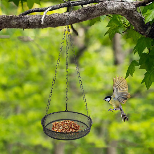Bandeja De Aves Colgante Bandeja De La Cadena Ajustable