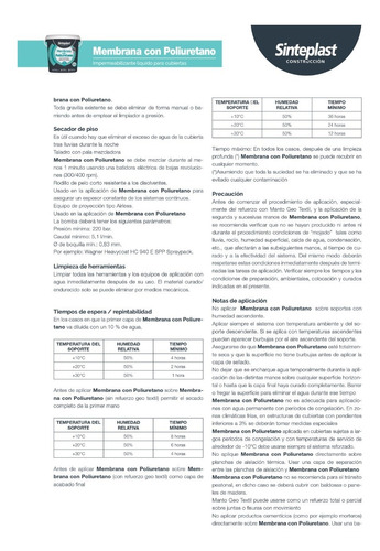 Imagen 5 de 6 de Membrana Liquida Poliuretanica X 20 Sinteplast Techos Pasta