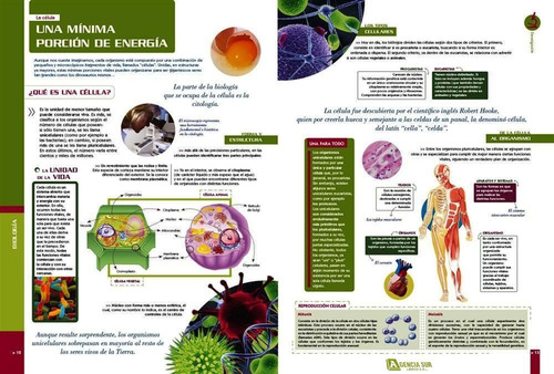 La Biología Y El Medio Ambiente, Guía Visual 3d