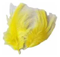 Comprar Pluma Aro X50u Atrapasueños Souvenir Manualidades Faisa