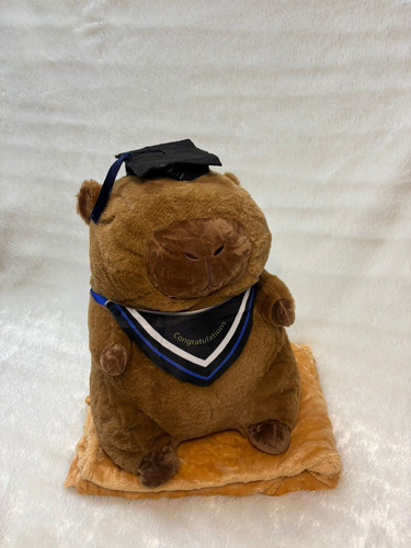 Peluche Capibara Carpincho Con Manta Varios Modelos 40cm Capibara Egresado