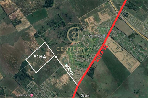 Campo En Venta Canning 51 Hectareas