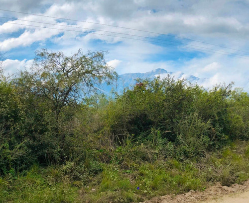 Lote De 5000 M2 Ubicado En San Javier - Traslasierra
