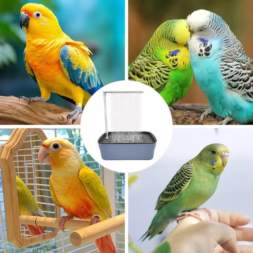 T Bañera Automática Para Pájaros - Baño Con Ducha Pájaros