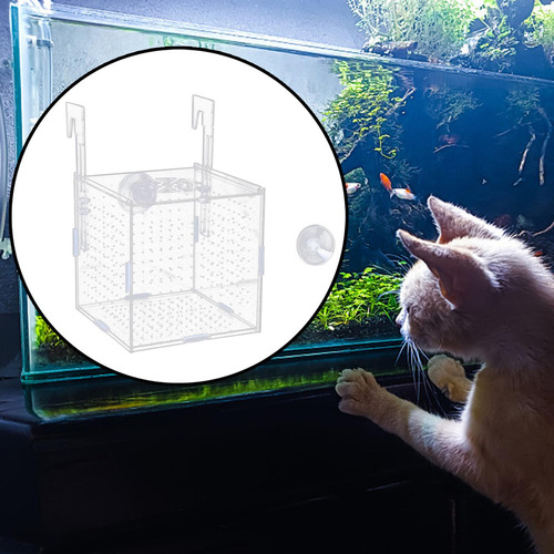 Nuevo Acuario Caja De Aislamiento De Alevines For Guppy