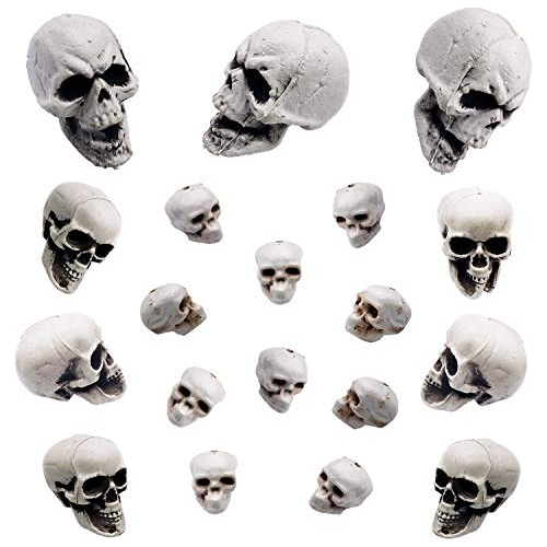 Halloween Realista Simulación Humana Cráneo- Mini F98my