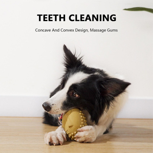 Cw Juguete Masticable Para Perros Chirriantes Juguete