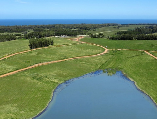 Imagen 7 de 11 de Terreno En Laguna De Los Cisnes, Punta Ballena - Laguna De Los Cisnes