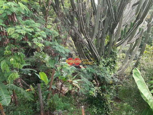 Imagem 13 de 18 de Chácara - Parque Valinhos - Ch0830