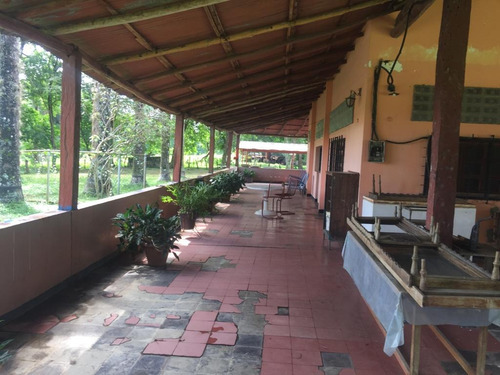 Imagen 9 de 24 de Finca En Barinas A Orilla De La Carretera